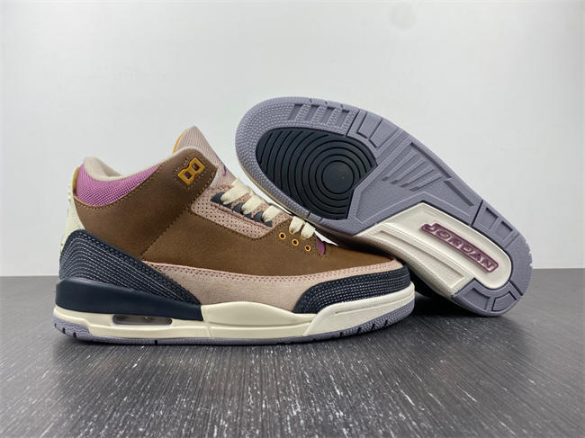 Air Jordan 3 Retro SE AJ3  DR8869-200