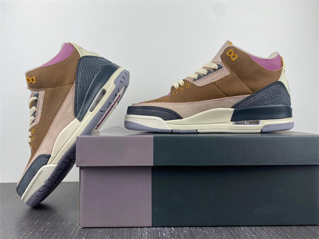 Air Jordan 3 Retro SE AJ3  DR8869-200