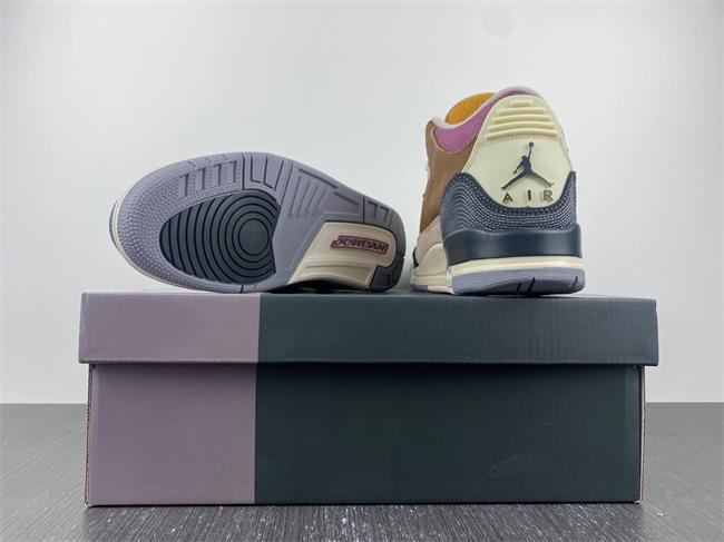 Air Jordan 3 Retro SE AJ3  DR8869-200